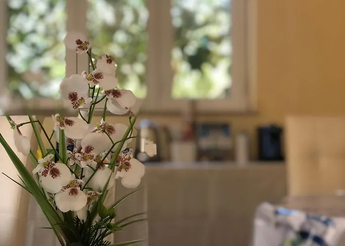 Ξενοδοχείο Thalassa Panoramic